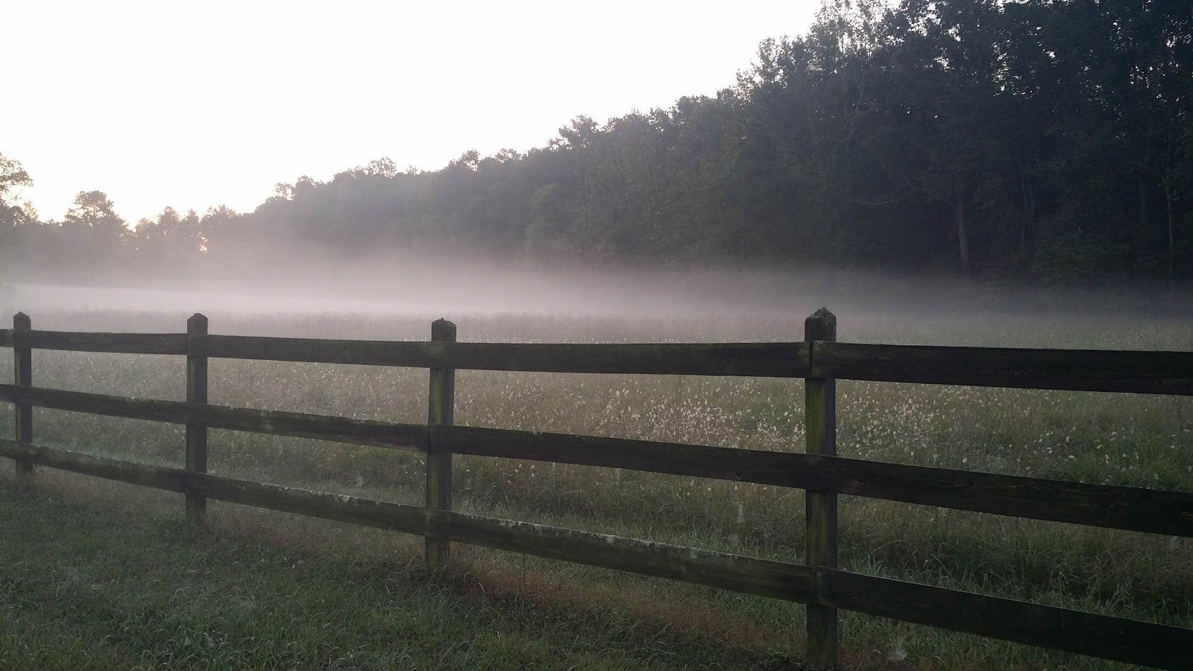 Walk the Labyrinth | Firefly Farm
